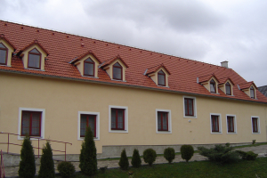 Pension Srnín